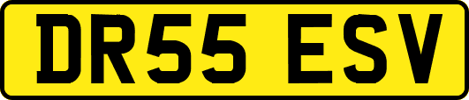 DR55ESV