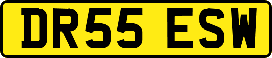 DR55ESW