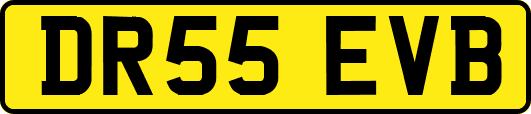 DR55EVB