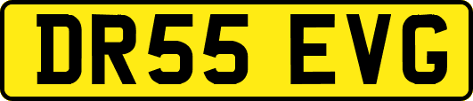 DR55EVG