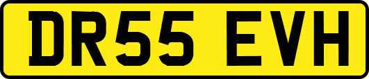 DR55EVH