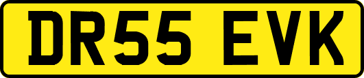 DR55EVK