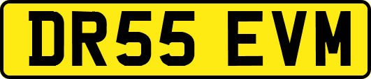 DR55EVM