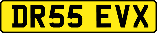 DR55EVX