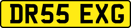 DR55EXG
