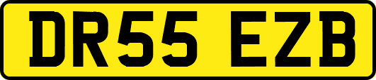 DR55EZB