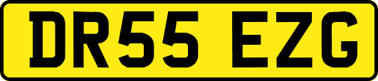DR55EZG