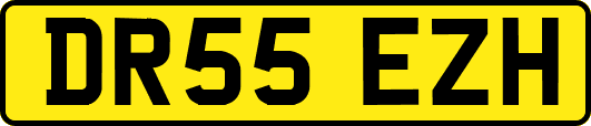 DR55EZH