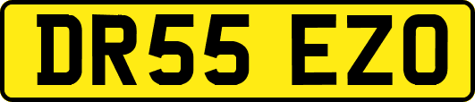 DR55EZO