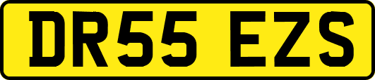 DR55EZS