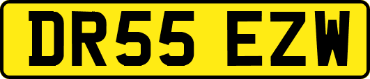 DR55EZW