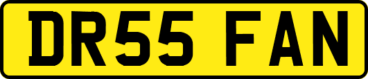 DR55FAN