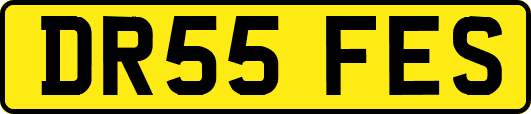 DR55FES