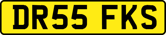 DR55FKS