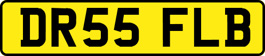 DR55FLB