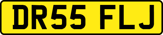 DR55FLJ