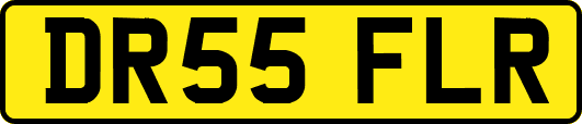 DR55FLR