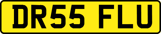 DR55FLU