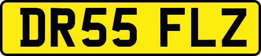 DR55FLZ