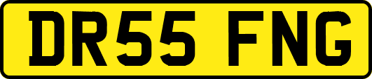 DR55FNG