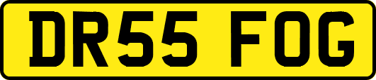 DR55FOG