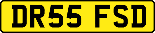 DR55FSD