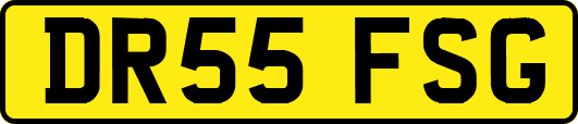 DR55FSG