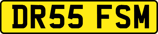 DR55FSM