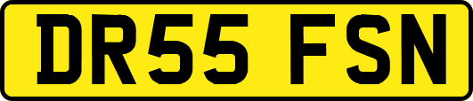 DR55FSN