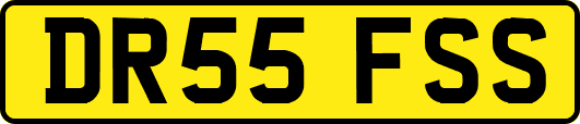 DR55FSS