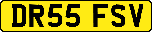 DR55FSV