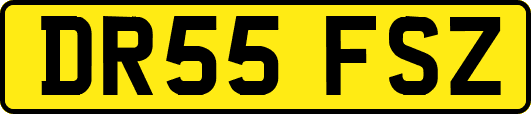 DR55FSZ