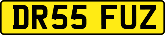 DR55FUZ