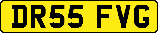 DR55FVG