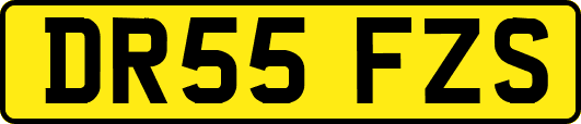 DR55FZS