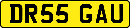 DR55GAU