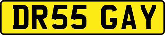 DR55GAY