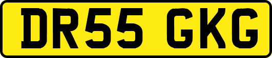 DR55GKG