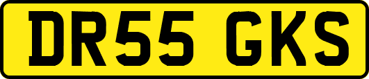 DR55GKS