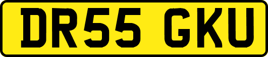 DR55GKU