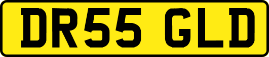 DR55GLD