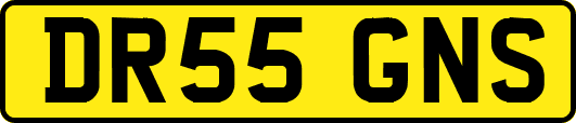 DR55GNS