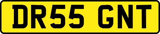 DR55GNT