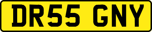DR55GNY
