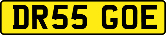 DR55GOE