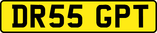 DR55GPT