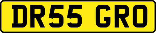 DR55GRO