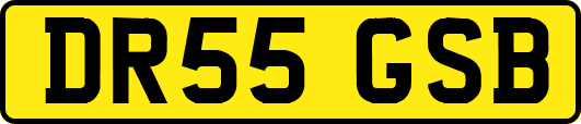DR55GSB