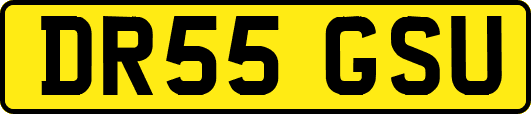 DR55GSU