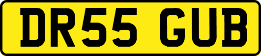 DR55GUB